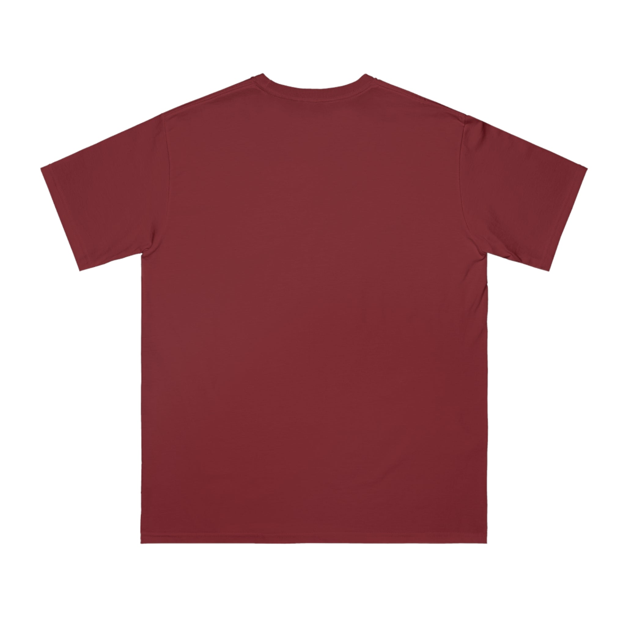 Organic "Teacher Definition" T-Shirt