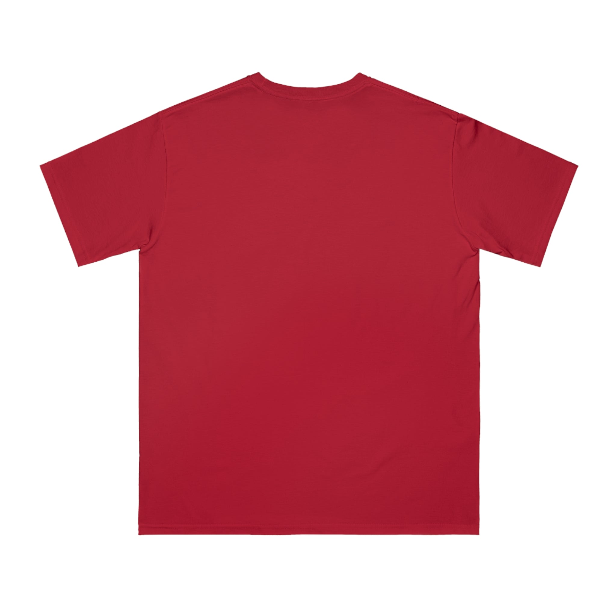 Organic "Teacher Definition" T-Shirt